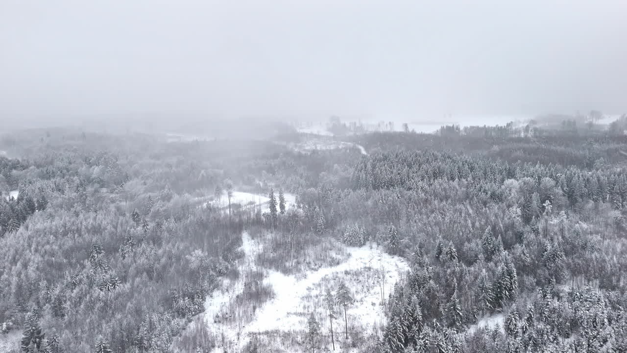 Drohnenaufnahme über einem Wald während starkem Schneefall, vorbei an Lichtungen und dichten Bäumen