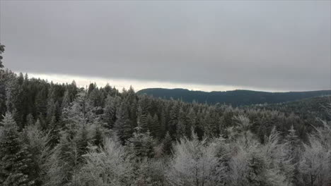 Scenic-view-at-sunset-in-winter-time-over-frosty-trees-in-the-Black-Forest