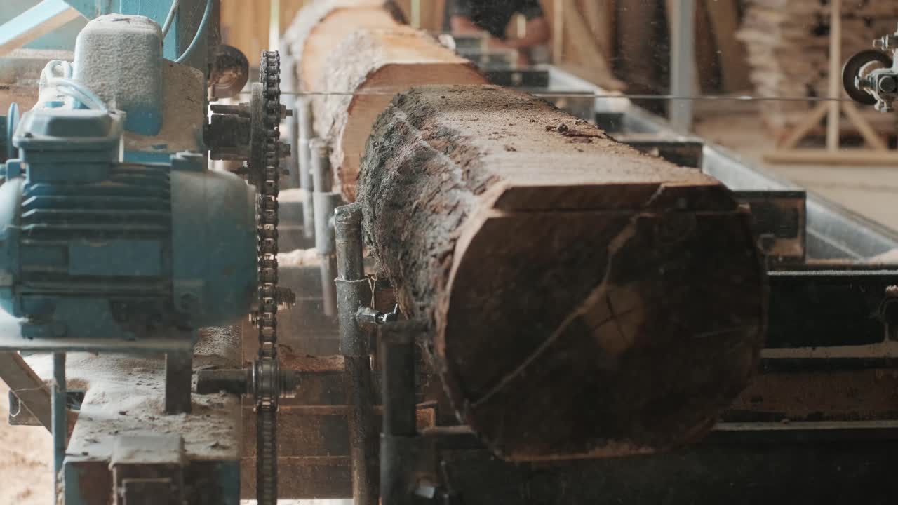 Closeup of cut pine tree log on sawing machine at wood production factory. Timber material processing and cutting at sawmill. Manufacturing process at lumber mill. Sawing woods on power machine
