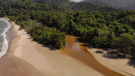 helix aerial of the river flowing into las cuevas bay on the north coast of trinidad