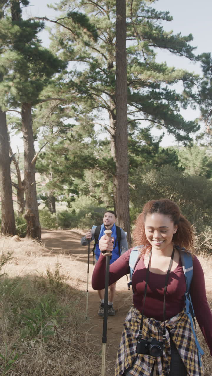 Vertical video of biracial couple hiking with trekking poles in forest, slow motion