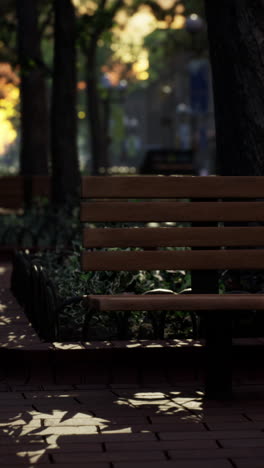 empty park bench in the shade of trees