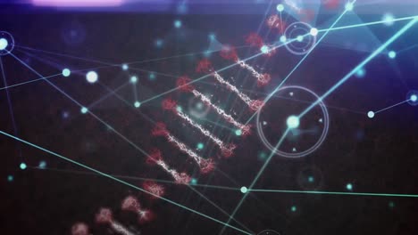 Animation-of-rotating-dna-helix-and-dots-connected-with-lines-and-lens-flares-on-abstract-background