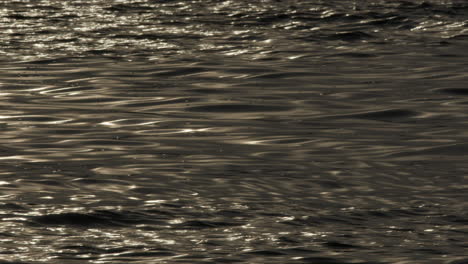 wellen der goldenen wasseroberfläche mit reflektiertem sonnenlicht