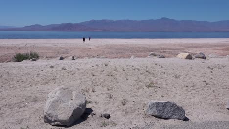 people walk in the distance along the shore of the salton sea in the california desert