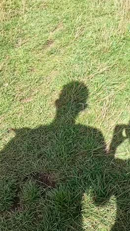 dos sombras caminando y gestando en la hierba