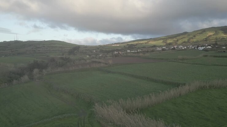 Green meadows of Azores islands, Portugal