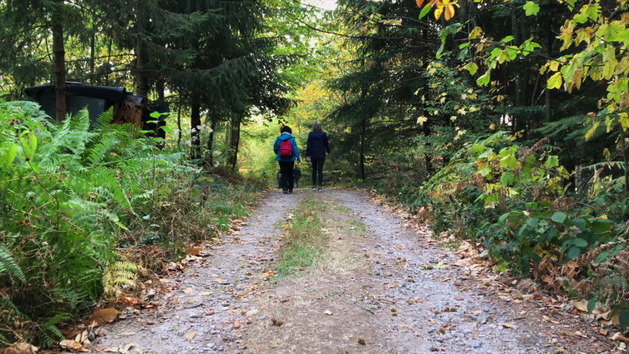 숲, lautenbach, 검은 숲 독일에서 보도에 걷는 어머니와 딸의 두 샷