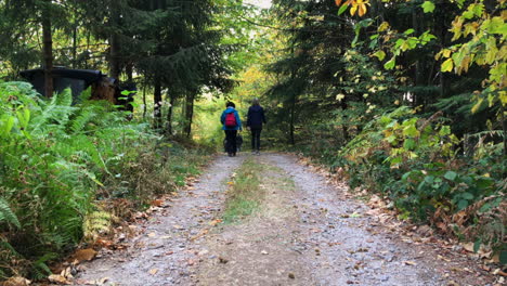 dos tomas de madre e hija caminando por un sendero en un bosque, lautenbach, selva negra alemania