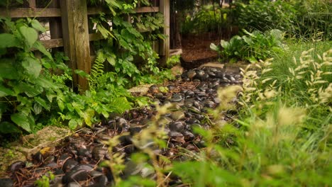 Primer-Plano-De-Una-Fuente-De-Lluvia-Que-Gotea-Agua-Sobre-Las-Rocas