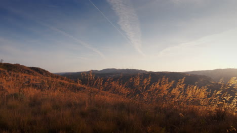 dry grass waving in the wind on the top of a mountain