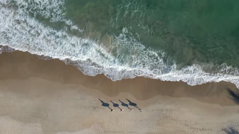 Aerial-birdseye-tracking-shot-of-surfers-shade-with-boards-walking-on-beach-sand