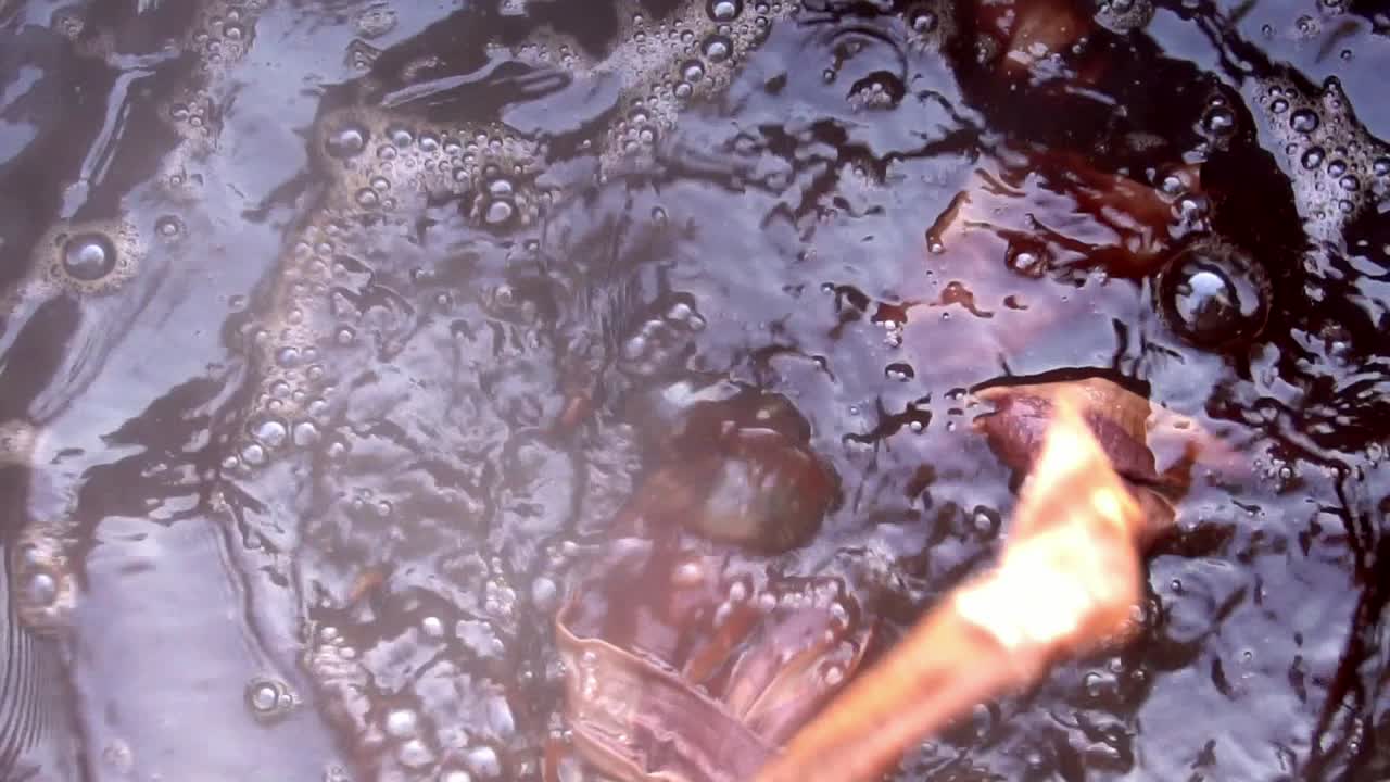 유기 적색 광두리 염료로 직물을 염색하는 동안 수면에 기포가 형성됨