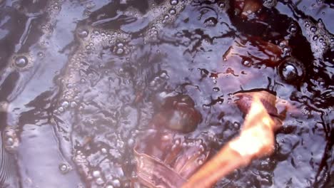 bubbles form on water surface during dyeing textiles with organic red madder dye