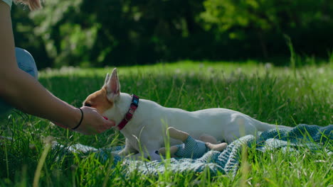 woman playing with her dog in a park
