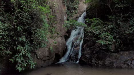 tiro relativamente todavía flotante de una pequeña cascada que desemboca en un estanque en el bosque tropical de montaña de río de janeiro