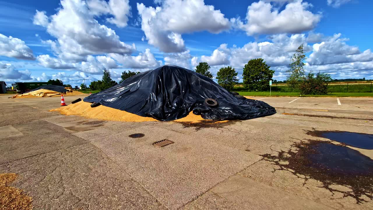 Agriculture crop harvest grain what storage outdoor covered drying in the sun