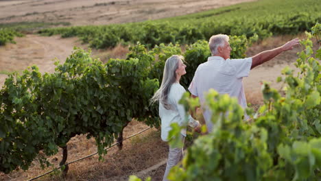 senior couple enjoying a vineyard stroll