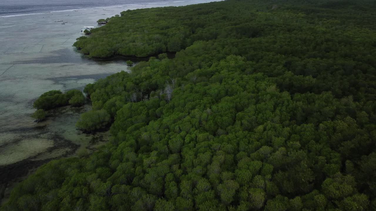 인도네시아 발리 해안 을 따라 있는 누사 렘본간 망그로브 의 공중 사진