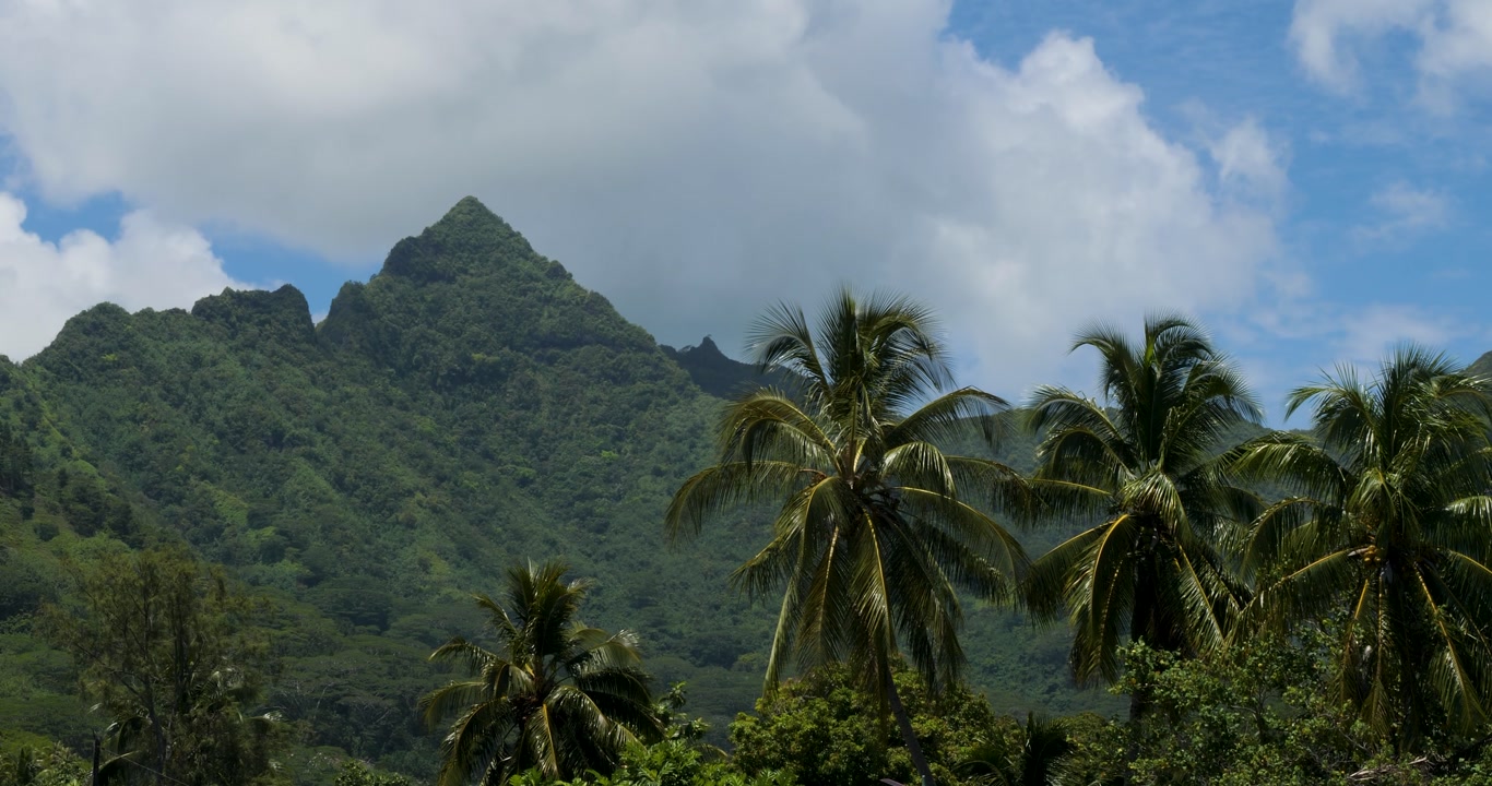 Beautiful landscape of island of Moorea, French Polynesia.