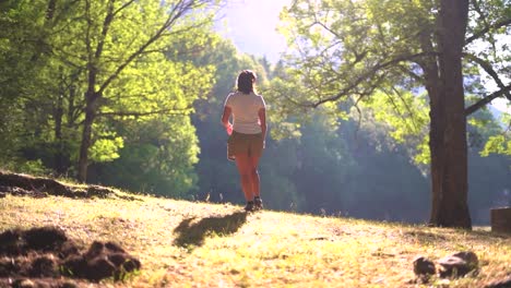 una mujer excursionista camina por las praderas en el parque de ordesa en el norte de españa.