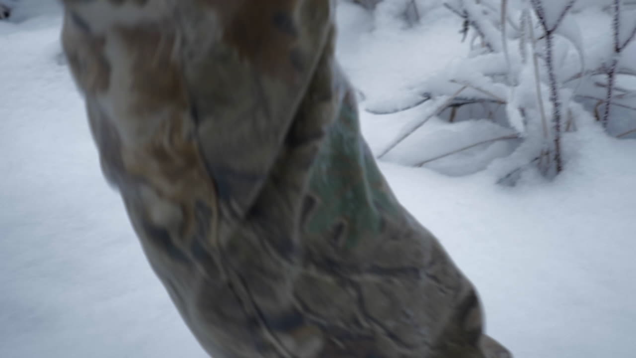 Slowmotion-sporingsoptagelse af en mand, der går gennem sne i skoven.