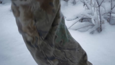 slow-motion tracking shot of man walking though snow in the forest