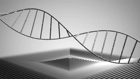 animation of dna strand spinning over white squares