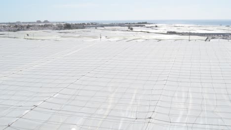 superficie de invernadero agrícola en un día soleado