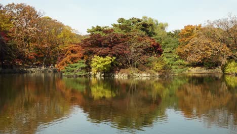 coloridos árboles de otoño reflejo en el lago chundangji, corea del sur