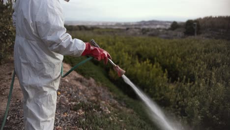 farmer spray insecticide, pesticide, pesticides or insecticides spraying on lemon trees agricultural field in spain