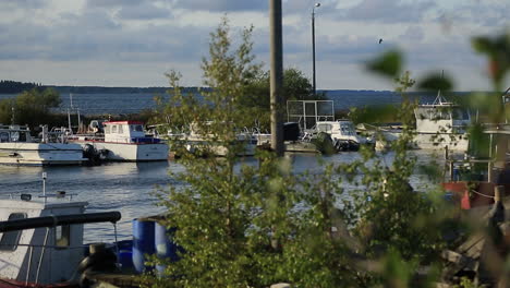 pequeño puerto en un pacífico fiordo finlandés al atardecer