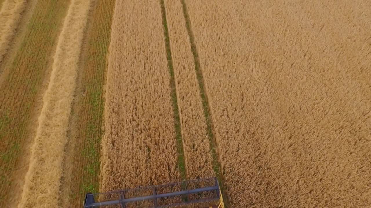 imágenes de aviones no tripulados de campos dorados y cosechadora combinada