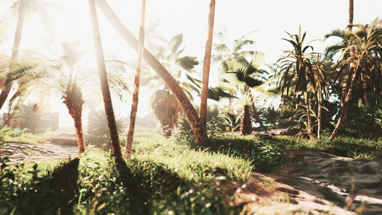 열대 해변 일몰