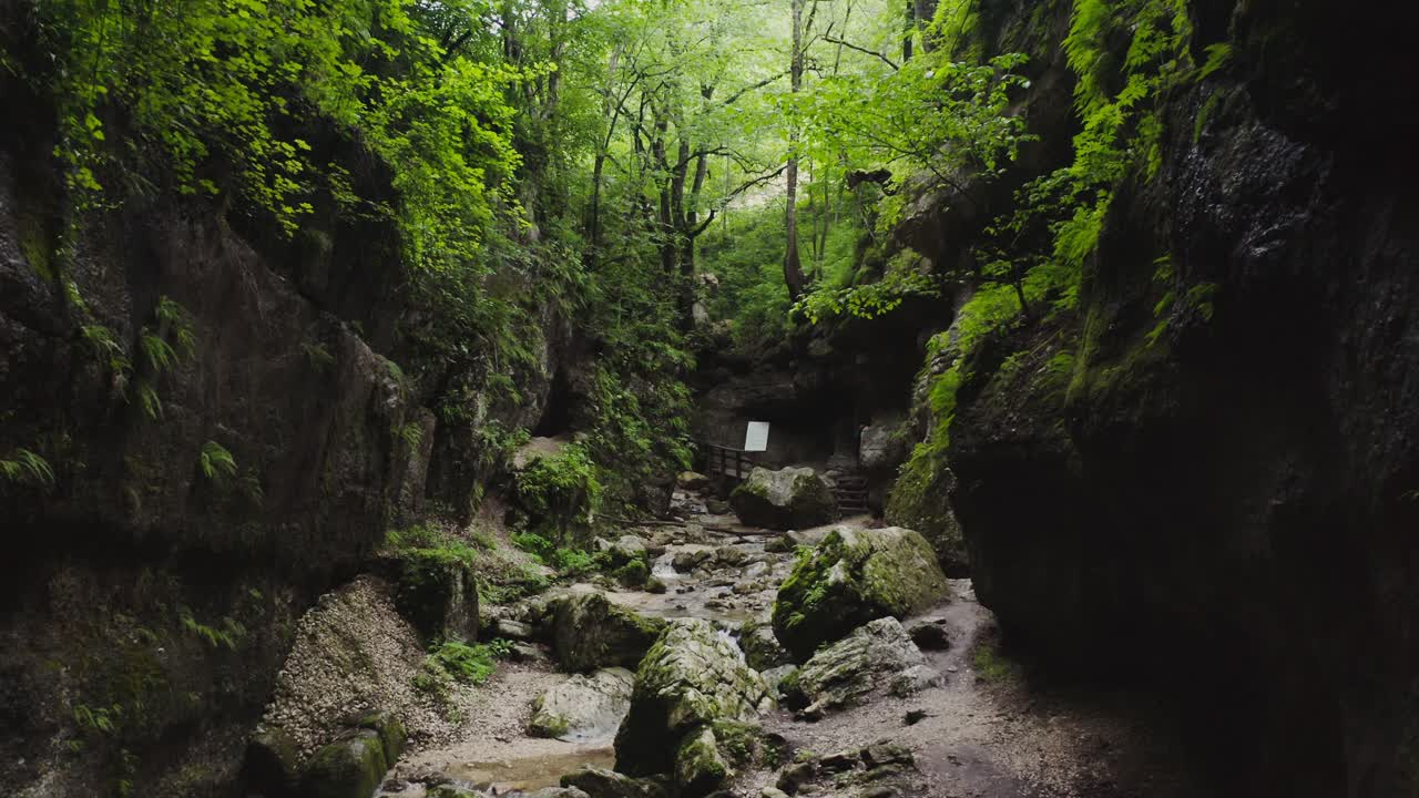 cañón forestal con arroyo y rocas