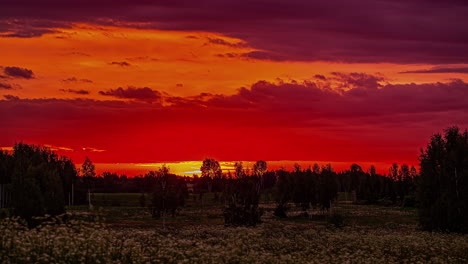Zeitrafferaufnahme-Eines-Roten-Sonnenuntergangs-Mit-Ziehenden-Wolken-Am-Horizont-über-Einer-Wiese-Mit-Blumen