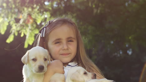 vista cercana de una linda chica caucásica sosteniendo pequeños cachorros labrador en el parque en un día de verano