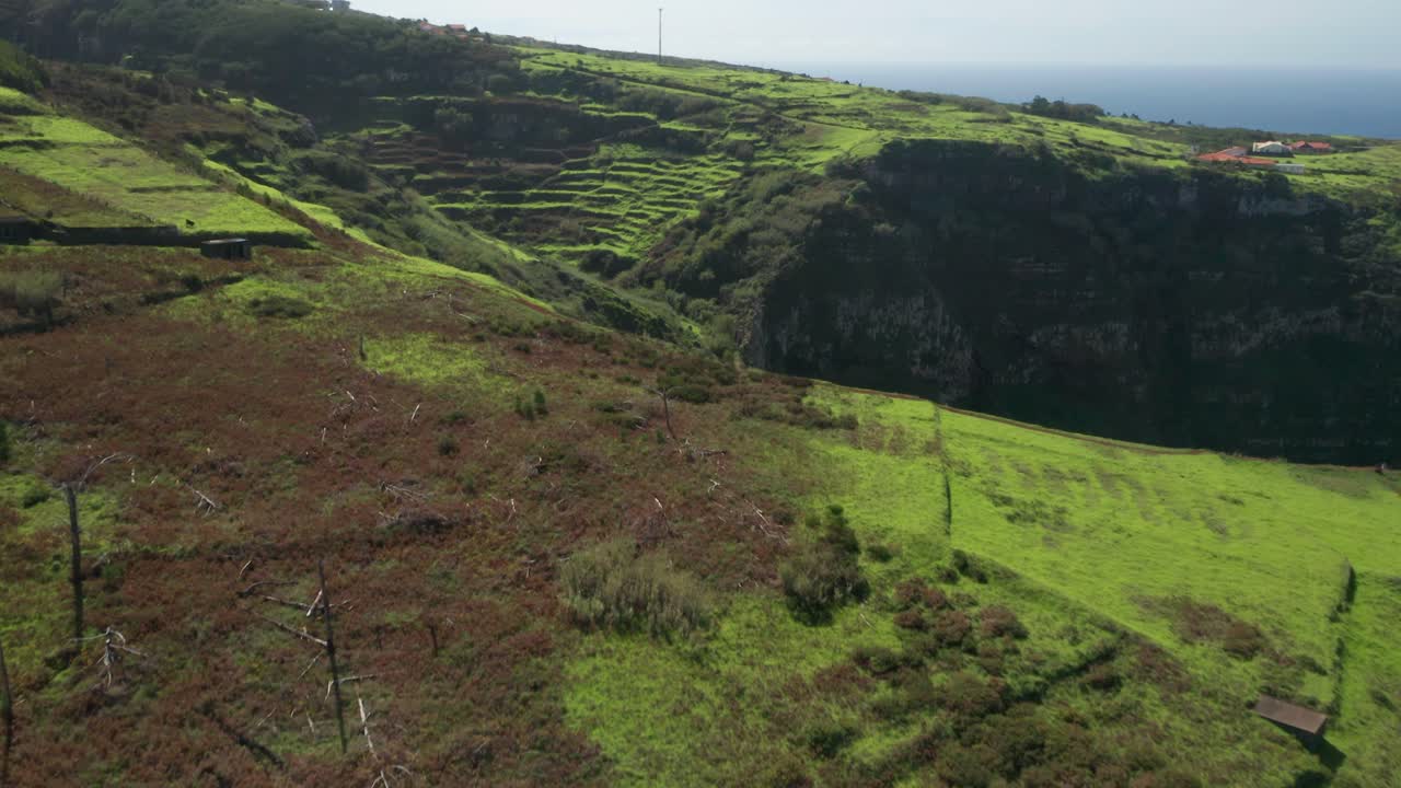 exuberantes campos verdes en lo alto de los acantilados de la isla de madeira, tierra volcánica cultivable