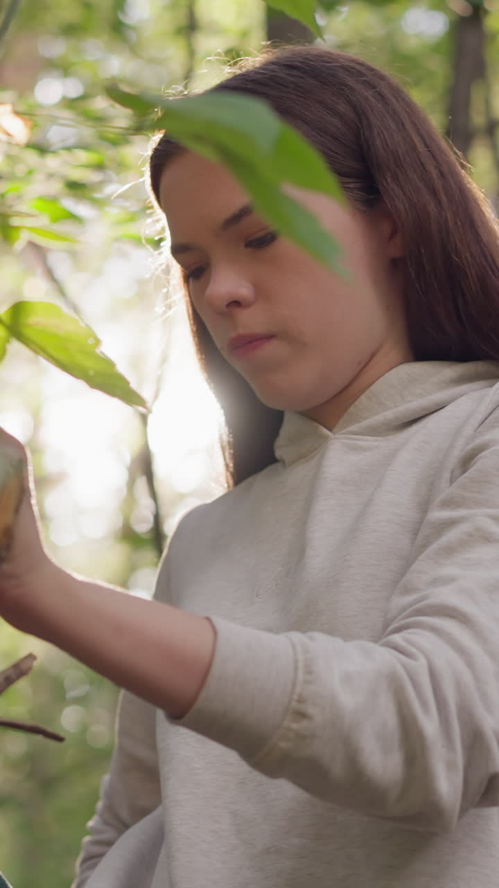 mujer estira la pierna usando la rama de un árbol para poner el pie en el bosque. joven realiza ejercicios de estiramiento intencionales para aliviar la tensión después de correr al atardecer