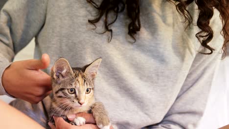 young woman sitting on bed stroking her tabby cat in the bedroom 4k 4k