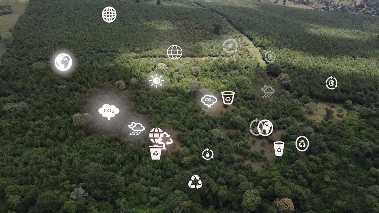 vista aérea futurista de drones de la cobertura forestal