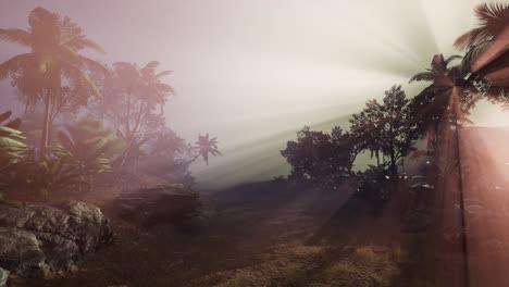 Sunset-Beams-through-Palm-Trees