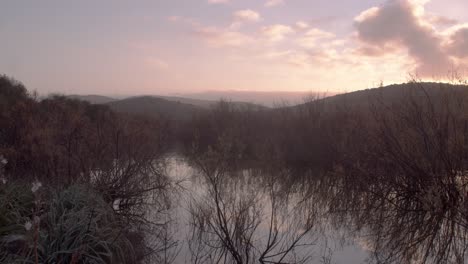 agua tranquila del estanque del lago con vegetación invernal sin hojas, amanecer, acercamiento