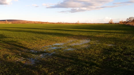 naturaleza búlgara. prado verde y cielo azul