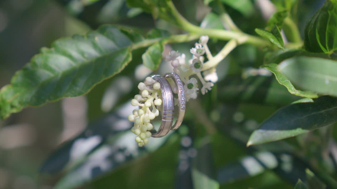 Wedding Rings on a Flower Branch