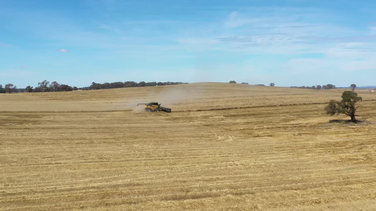 una excelente toma aérea de una cosechadora agrícola cortando un campo en parkes, nueva gales del sur, australia