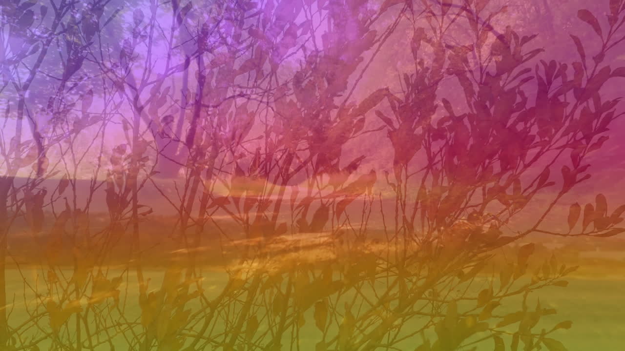 Animation of colorful light over forest