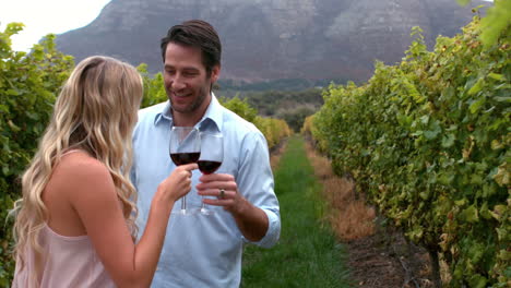 Young-couple-toasting-with-red-wine-in-slow-motion