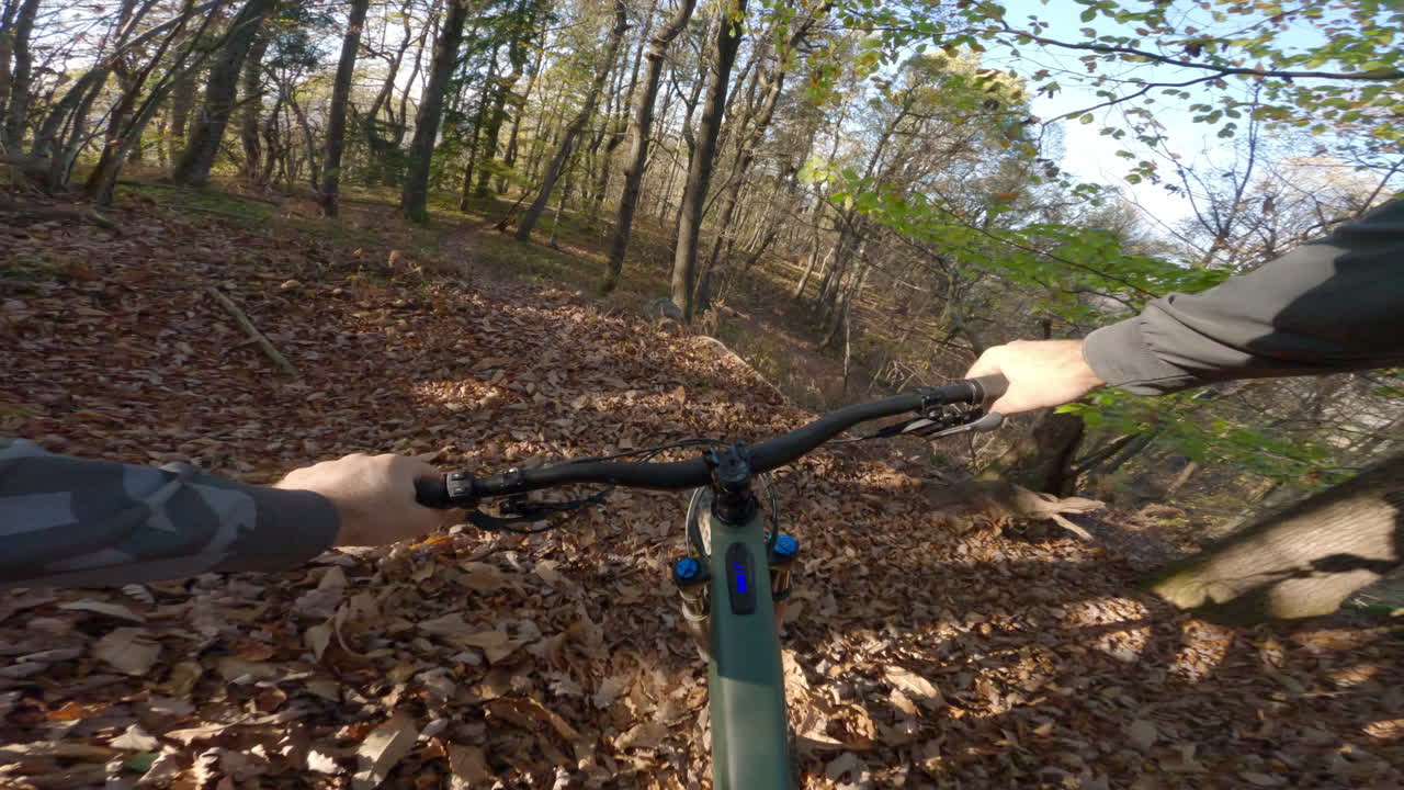 Mountain biking through a fall forest trail