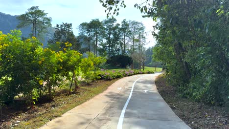 a serene walk through lush greenery